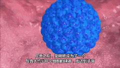 Ϊʲô̥Ŵʧܣܺ3عؼ