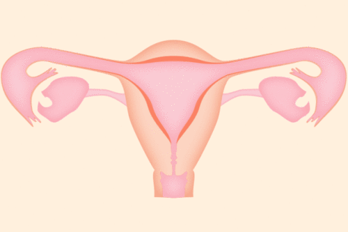 �Թ�����ؿ���׼����ֲ��̥�ˣ���3����������������