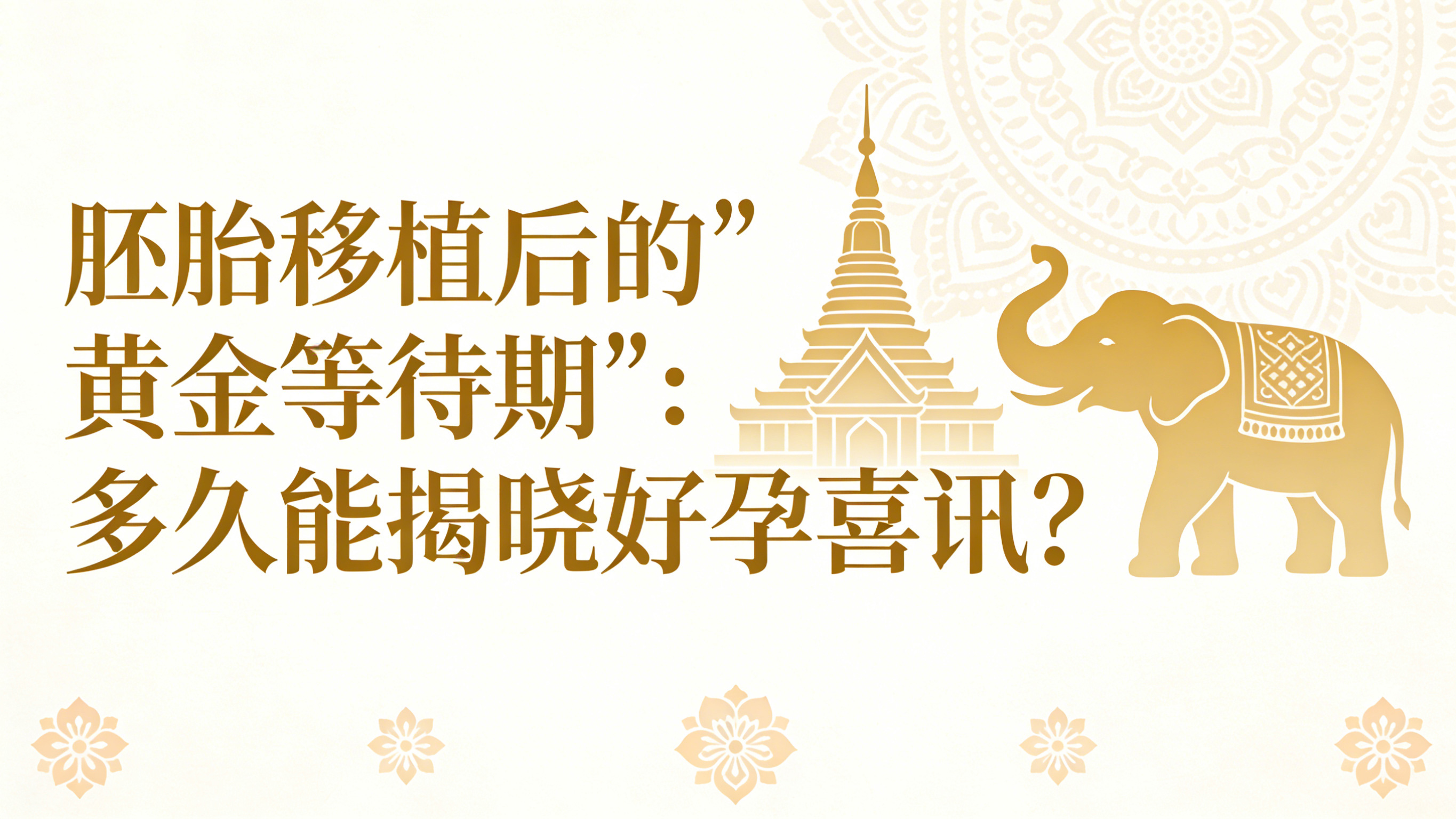 ��̥��ֲ��ġ��ƽ�ȴ��ڡ�������ܽ�������ϲѶ��