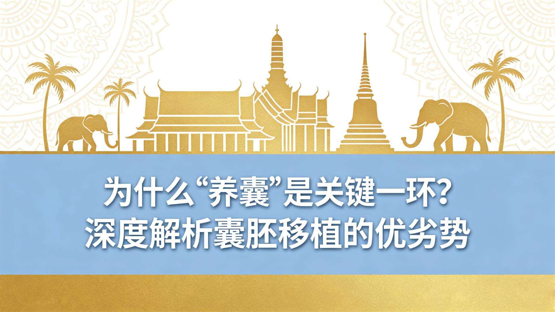 Ϊʲô�����ҡ��ǹؼ�һ������Ƚ���������ֲ��������