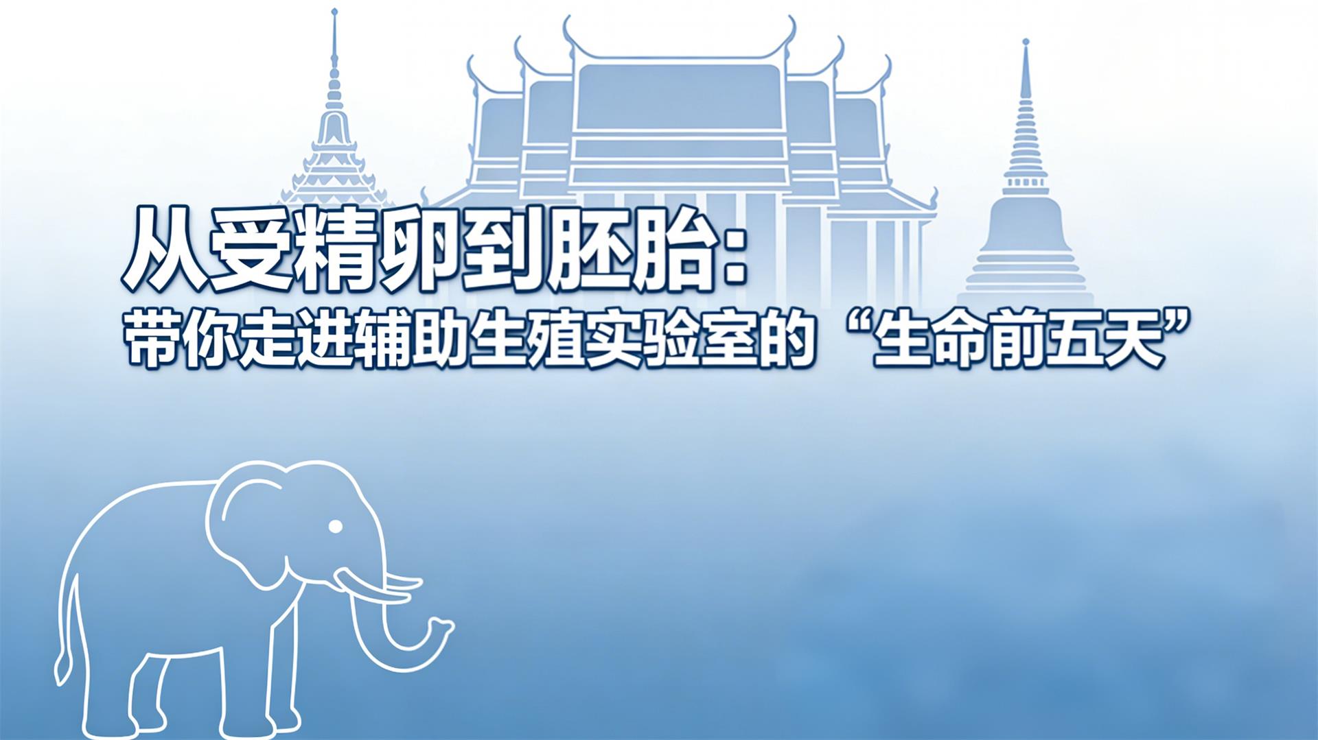 ���ܾ��ѵ���̥�������߽�������ֳʵ���ҵġ�����ǰ���족