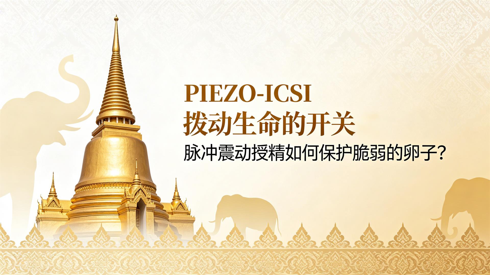 PIEZO-ICSI ���������Ŀ��أ��������ھ���α������������ӣ�